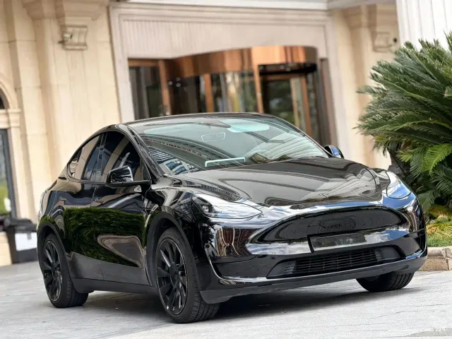 Tesla Model Y — Фото автомобиля 3