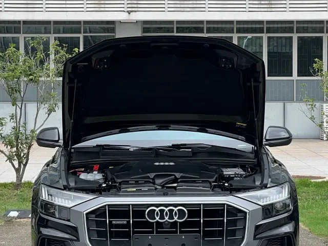 Audi Q8 — Фото автомобиля 8