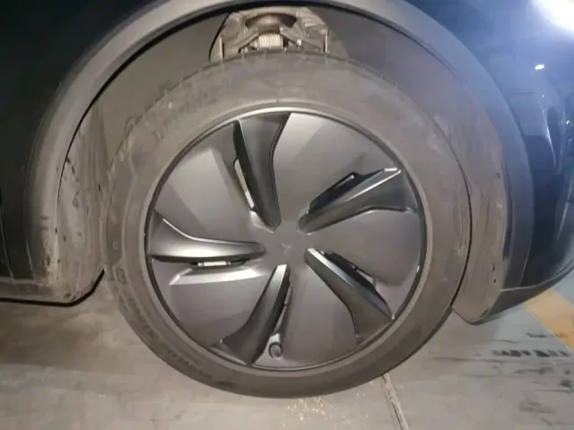 Tesla Model Y — Фото автомобиля 25