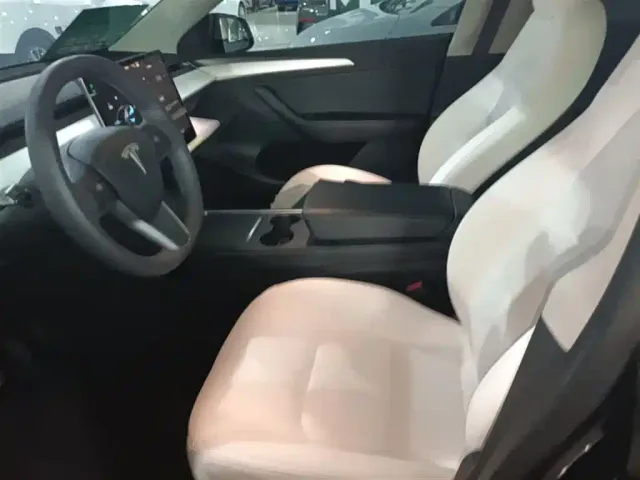 Tesla Model Y — Фото автомобиля 14