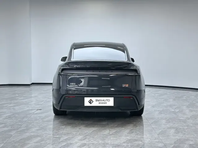 Tesla Model Y — Фото автомобиля 4