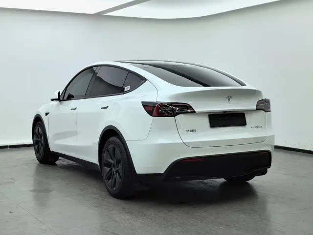 Tesla Model Y — Фото автомобиля 6