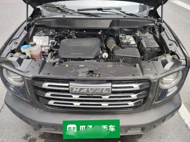 Haval Big Dog — Фото автомобиля 16