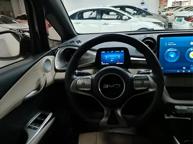 BYD Dolphin — Фото автомобиля 8