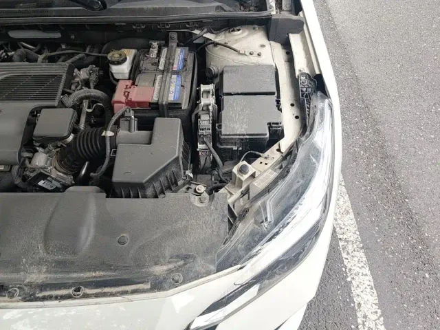 Nissan Sylphy — Фото автомобиля 19