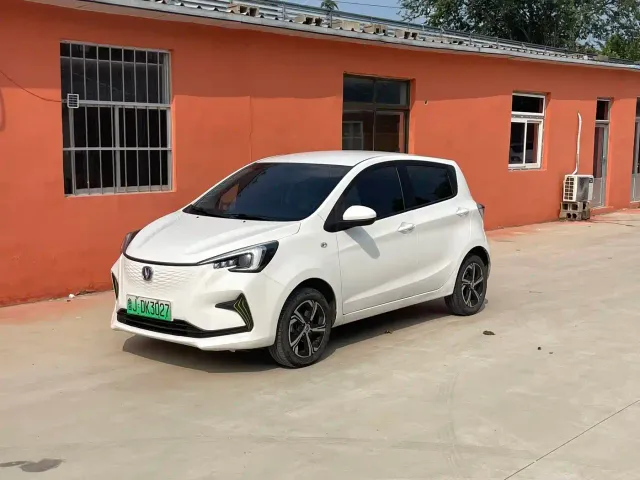 Фотография автомобиля — Changan Benben E-Star