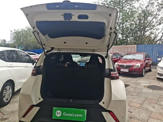 BYD Seagull — Фото автомобиля 18
