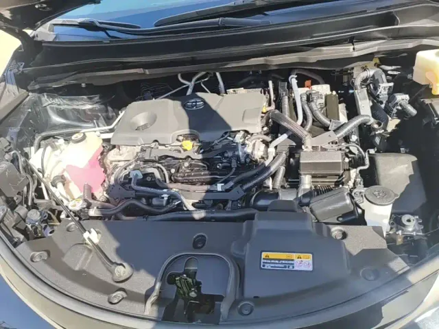 Toyota Sienna — Фото автомобиля 19