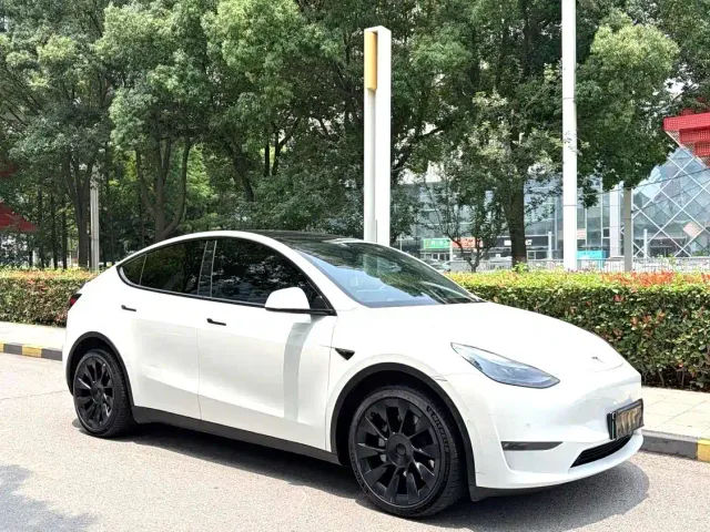 Tesla Model Y — Фото автомобиля 3