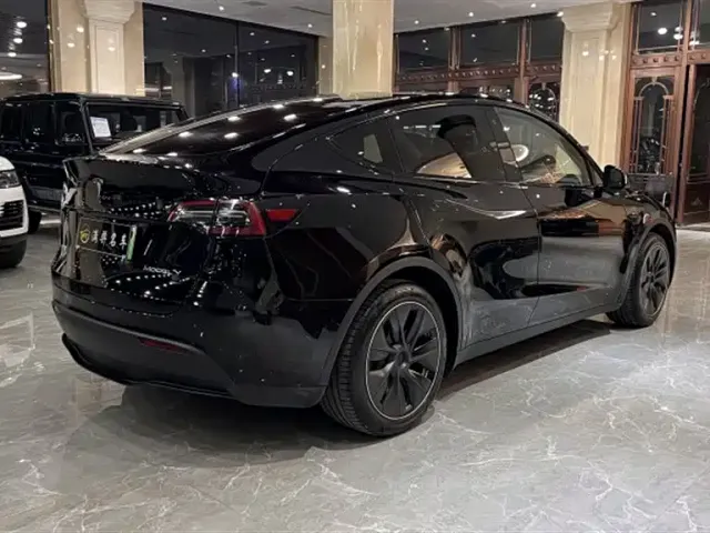 Tesla Model Y — Фото автомобиля 11