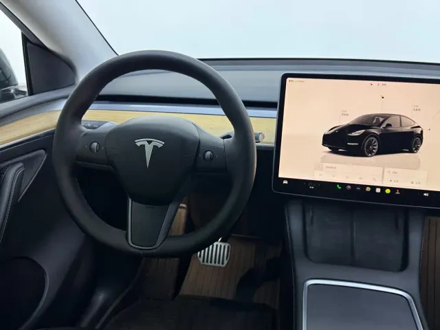 Tesla Model Y — Фото автомобиля 11