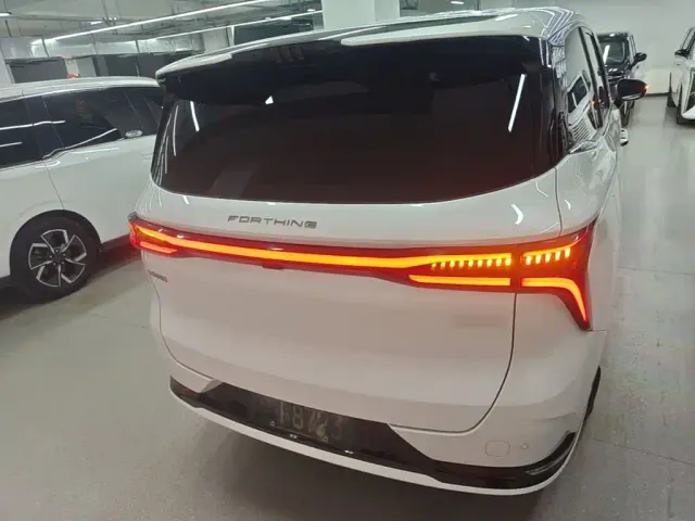 Forthing Xinghai V9 — Фото автомобиля 5