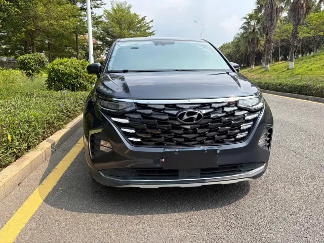 Hyundai Custo — Фото автомобиля 2