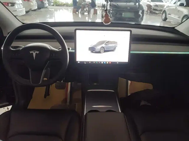 Tesla Model Y — Фото автомобиля 9