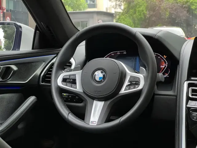 BMW 8 Series — Фото автомобиля 16