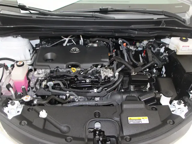 Toyota Sienna — Фото автомобиля 15