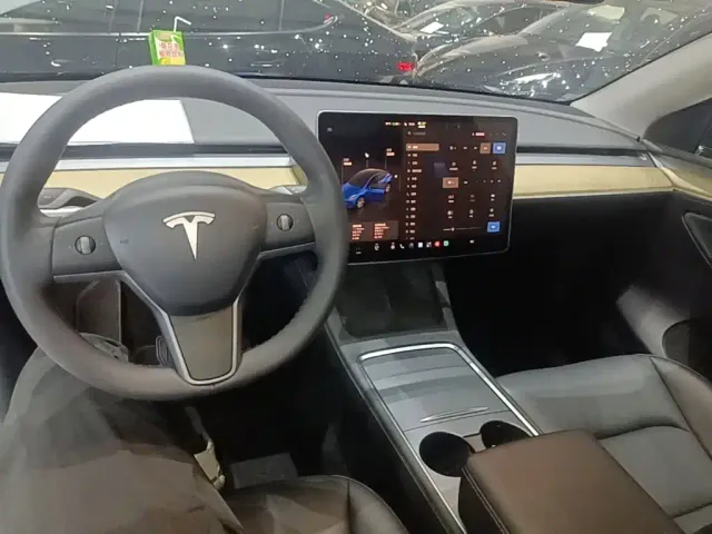 Tesla Model Y — Фото автомобиля 9
