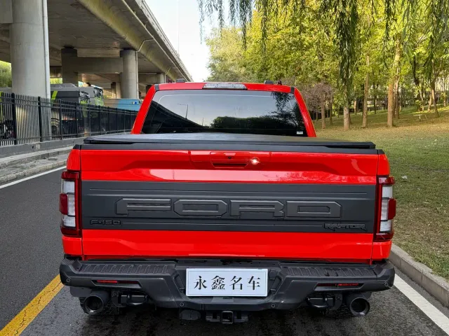 Ford F-150 Raptor — Фото автомобиля 10