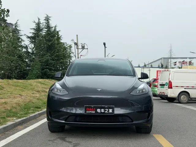 Tesla Model Y — Фото автомобиля 2