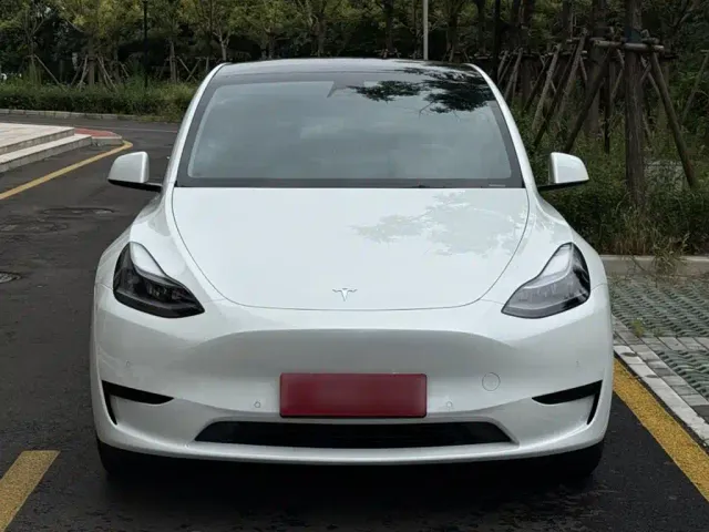 Tesla Model Y — Фото автомобиля 10