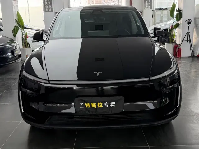 Tesla Model Y — Фото автомобиля 2