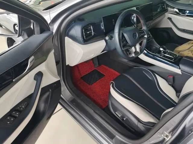 BYD Qin PLUS — Фото автомобиля 8
