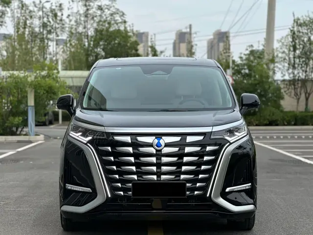 Denza D9 — Фото автомобиля 3