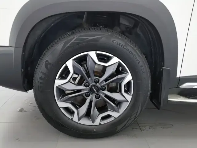 Haval Big Dog — Фото автомобиля 17
