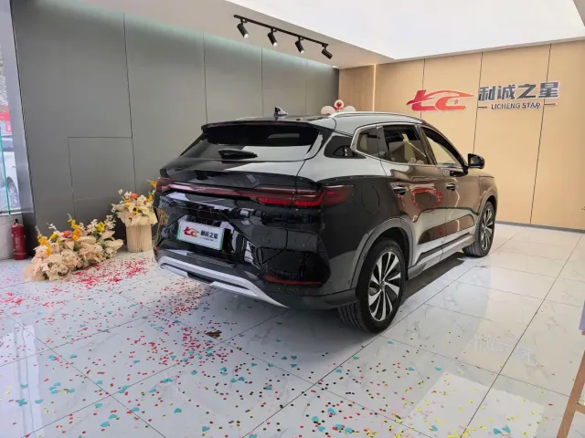 BYD Song PLUS — Фото автомобиля 6