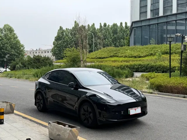 Tesla Model Y — Фото автомобиля 3