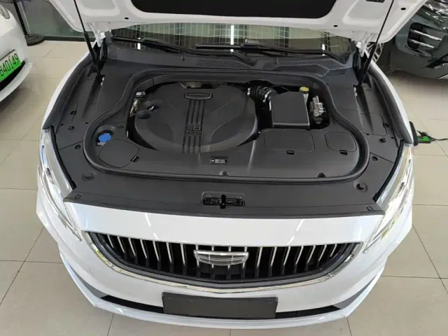 Geely Borui — Фото автомобиля 19