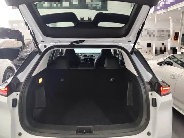 Dongfeng SKY EV01 — Фото автомобиля 18