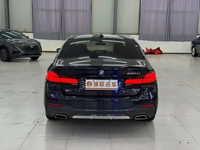 BMW 5 Series — Фото автомобиля 8