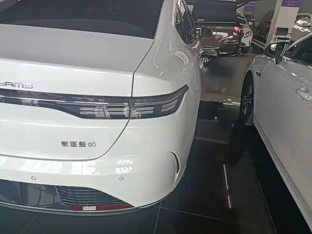 BYD Destroyer 05 — Фото автомобиля 7