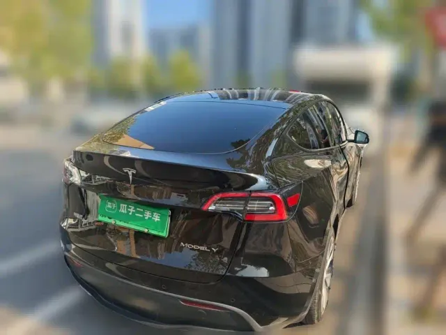 Tesla Model Y — Фото автомобиля 6