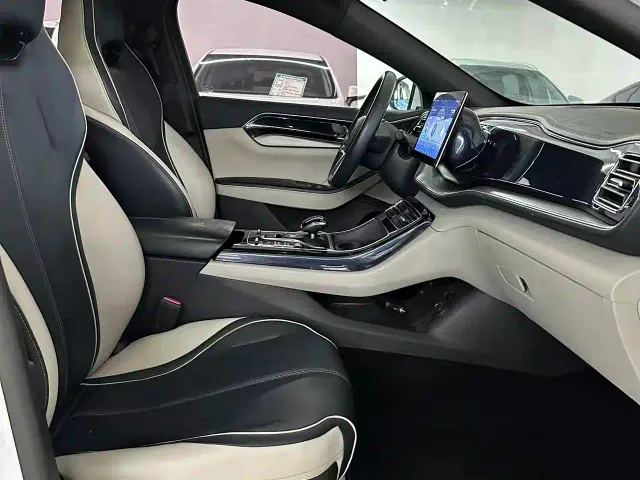 BYD Qin PLUS — Фото автомобиля 19