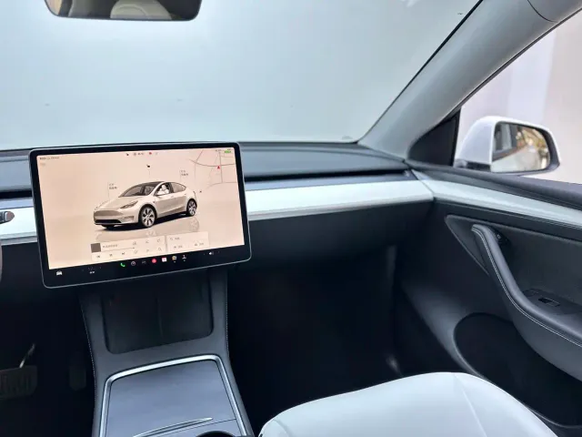 Tesla Model Y — Фото автомобиля 19
