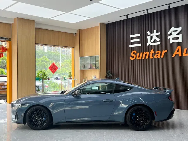 Ford Mustang — Фото автомобиля 15