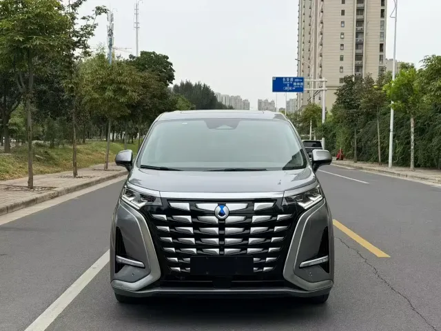 Denza D9 — Фото автомобиля 2