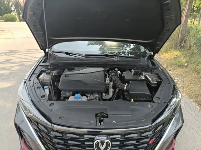 Changan Eado — Фото автомобиля 19