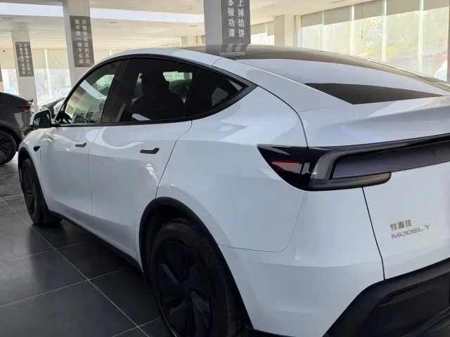 Tesla Model Y — Фото автомобиля 9