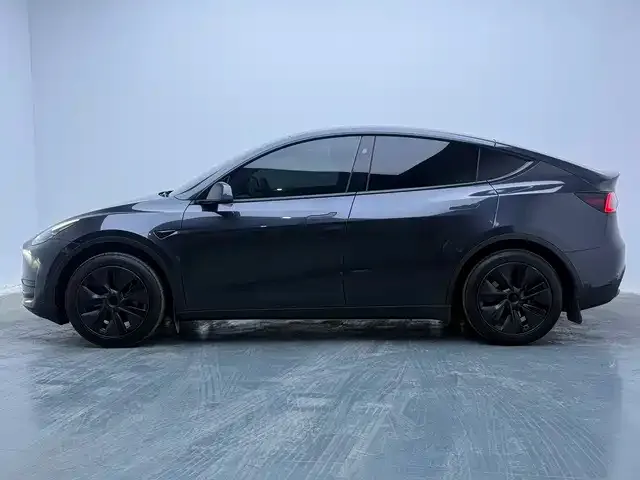 Tesla Model Y — Фото автомобиля 2