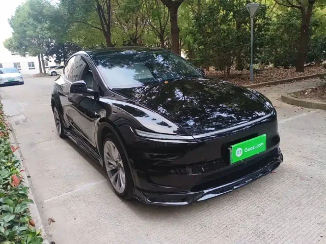 Tesla Model Y — Фото автомобиля 3