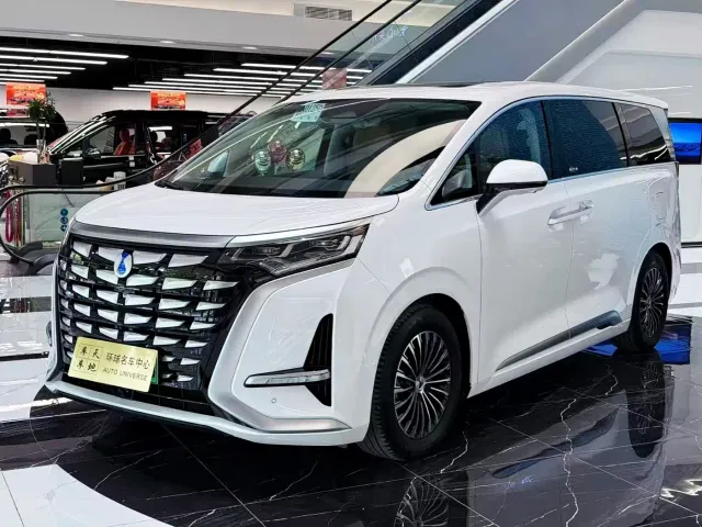 Фотография автомобиля — Denza D9