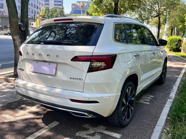 Skoda Karoq — Фото автомобиля 14