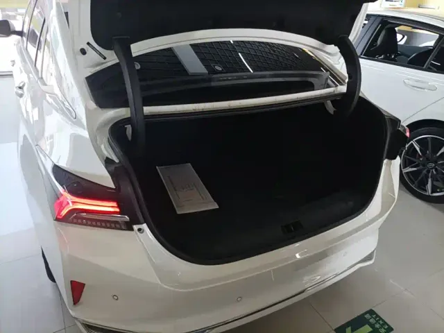 Dongfeng Yixuan MAX — Фото автомобиля 14