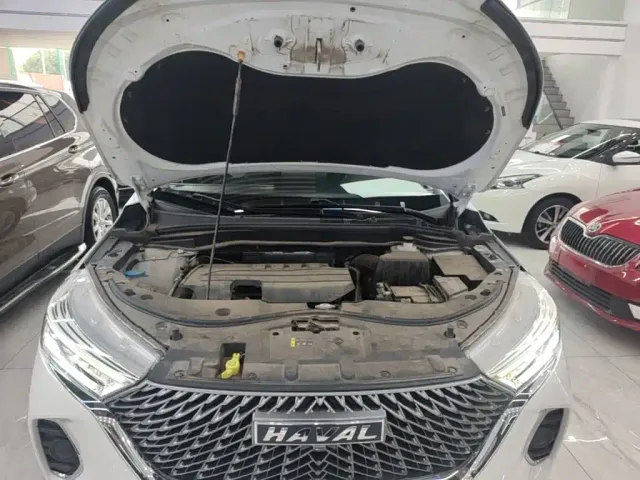 Haval M6 — Фото автомобиля 19