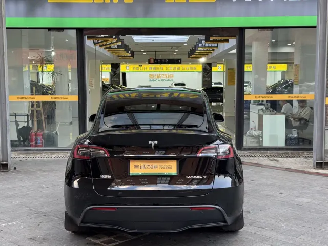 Tesla Model Y — Фото автомобиля 5