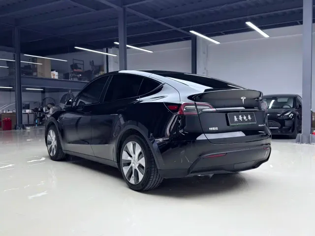 Tesla Model Y — Фото автомобиля 3