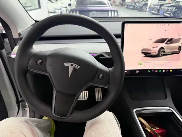 Tesla Model Y — Фото автомобиля 5